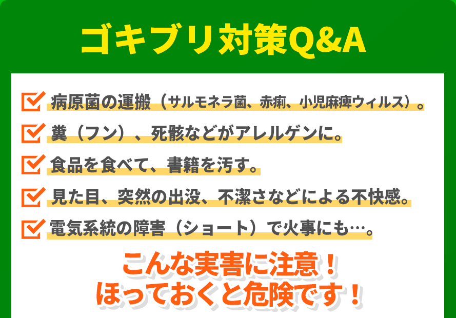 本当は怖いゴキブリの実害