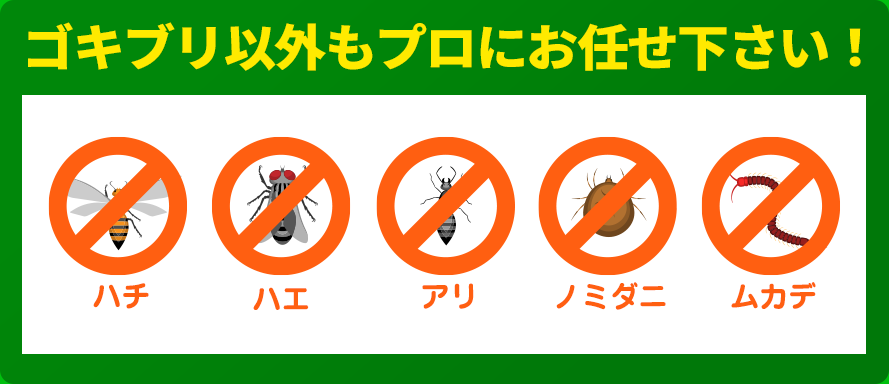 ゴキブリ以外もお任せ下さい！