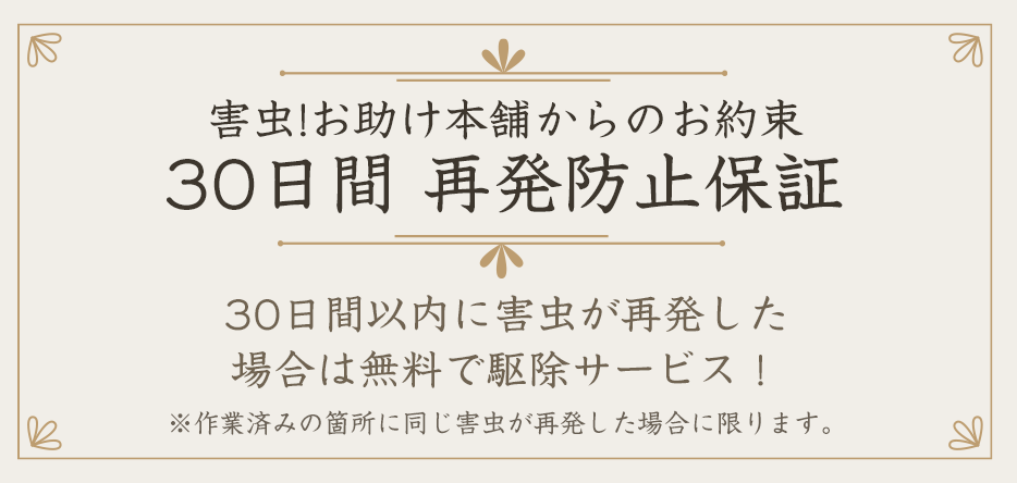害虫駆除からのお約束30日間再発防止保証