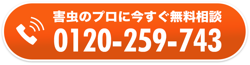 害虫のプロに今すぐ電話相談タップで無料通話
