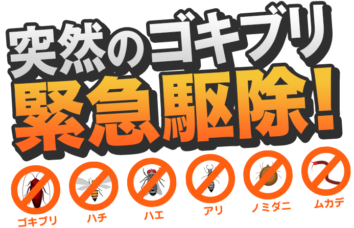 ぞっとする害虫たち1ぴき残らず完全駆除!
