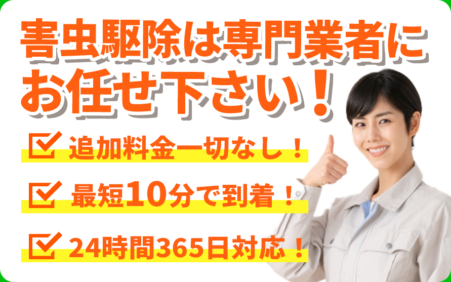 害虫駆除は専門業者にお任せ下さい!