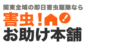 害虫駆除