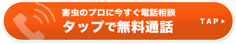 害虫のプロに今すぐ電話相談タップで無料通話
