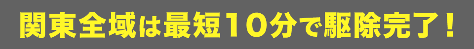 関東エリアは最短10分で駆除!