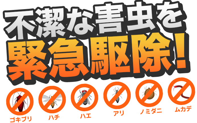 ぞっとする害虫たち1ぴき残らず完全駆除!